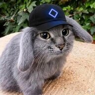 Its_6obeZ